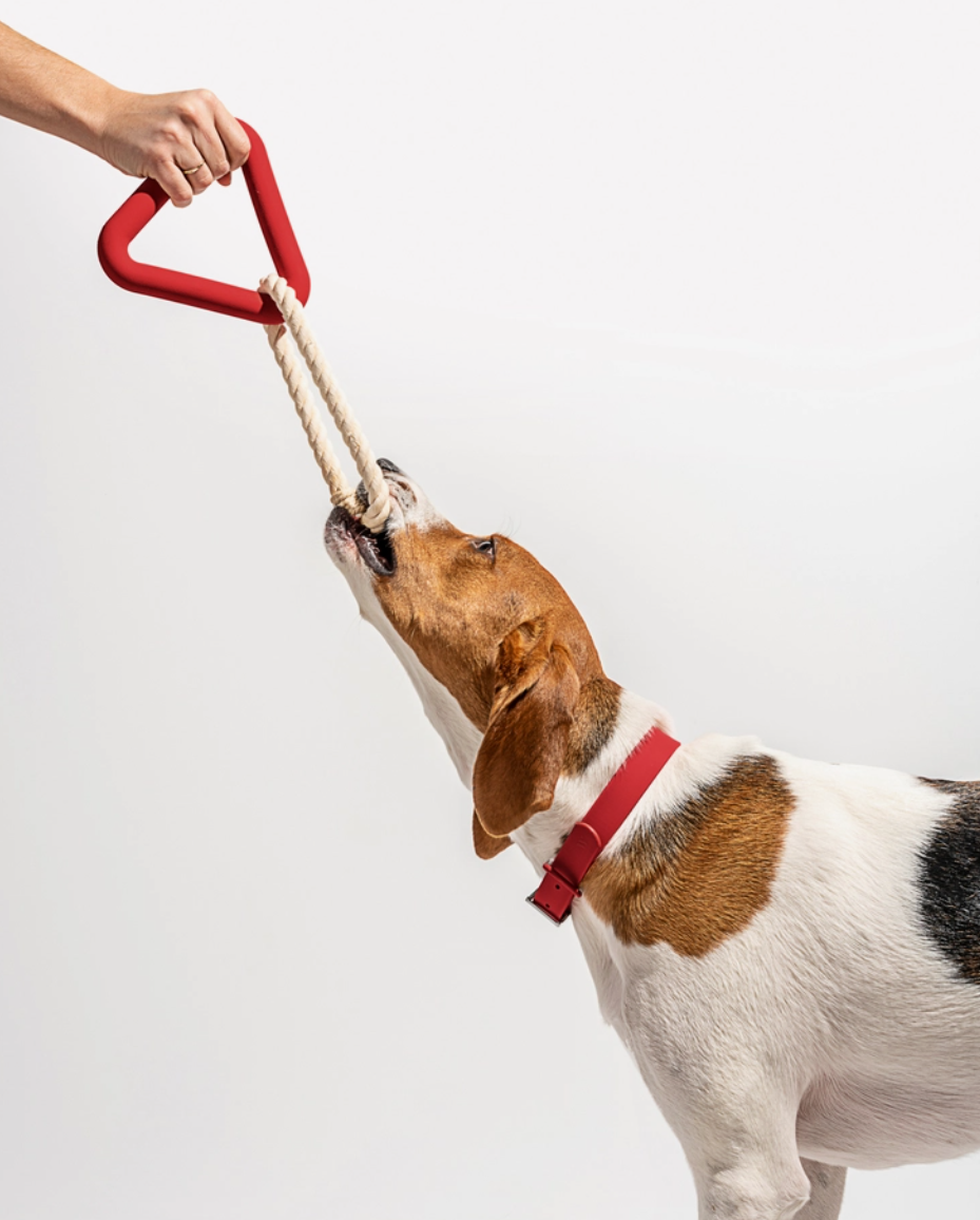 Red Triangle Tug Toy