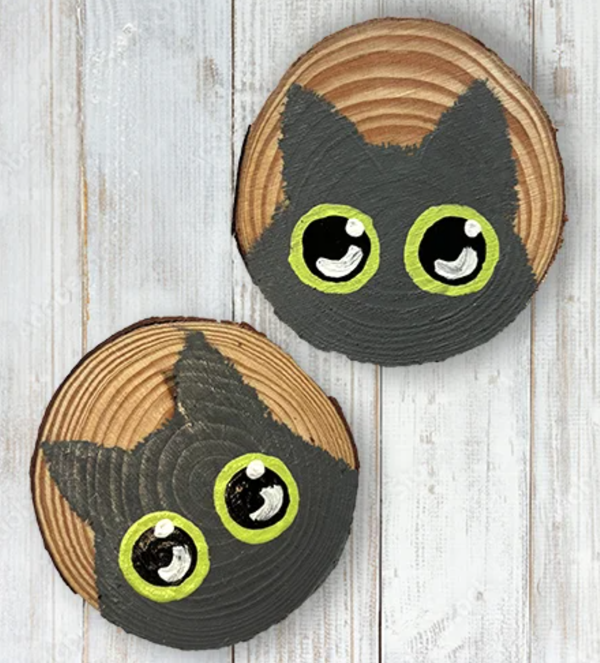 Grey Cat Coasters - 2 Pack