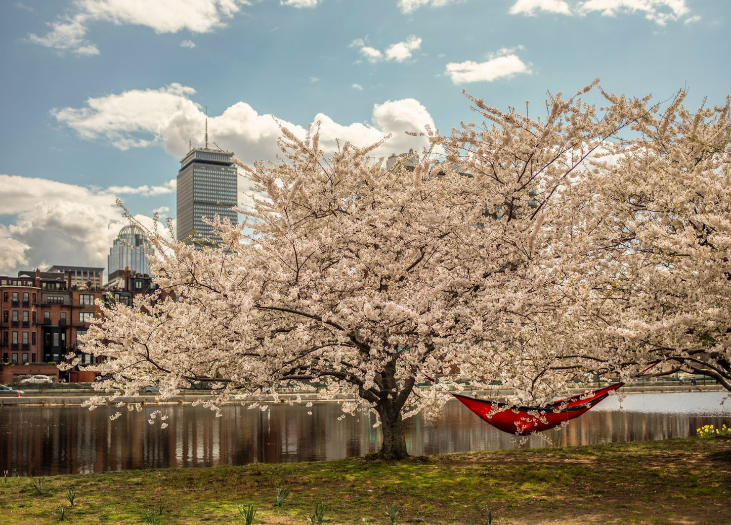 Esplanade Hammock Print