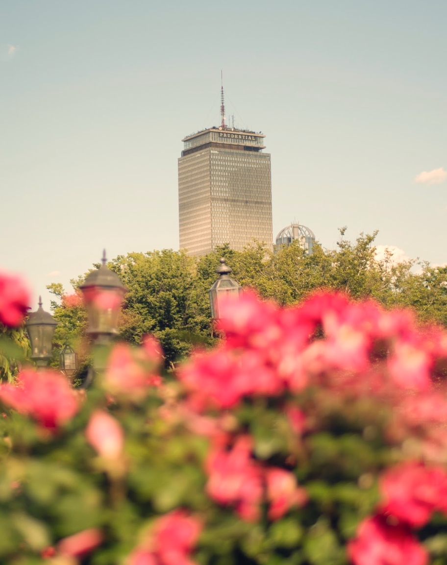 The Pru Print
