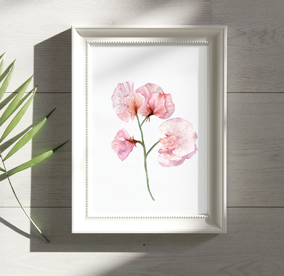 Margareta Csiszar 8x10 Prints