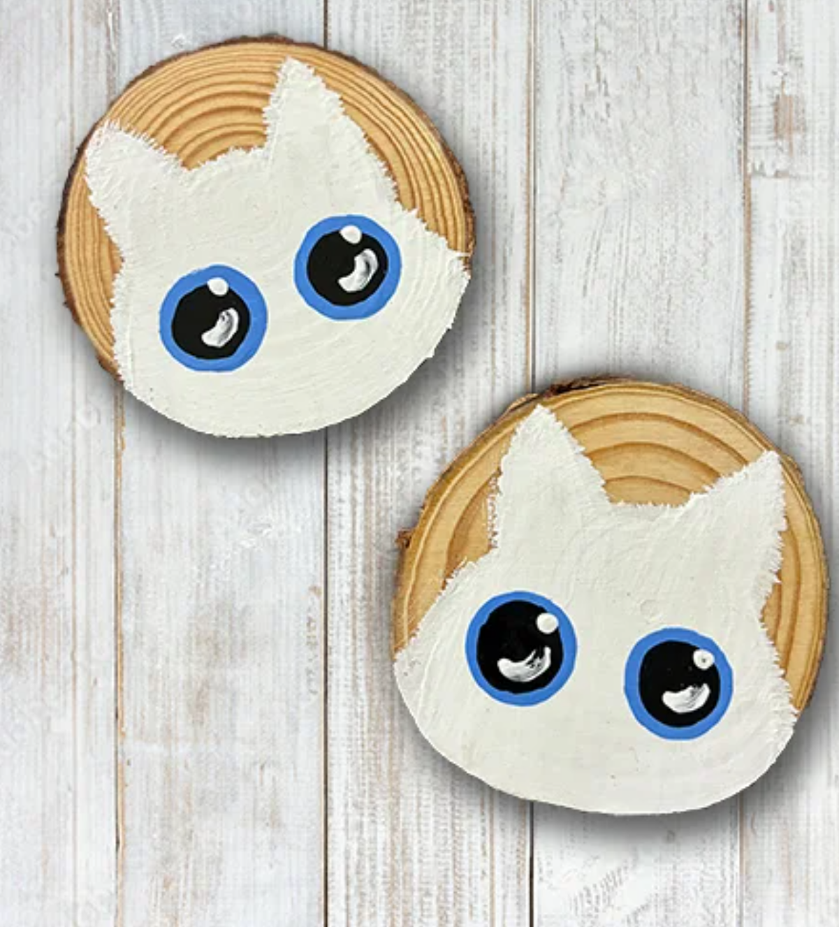 White Cat Coasters - 2 Pack