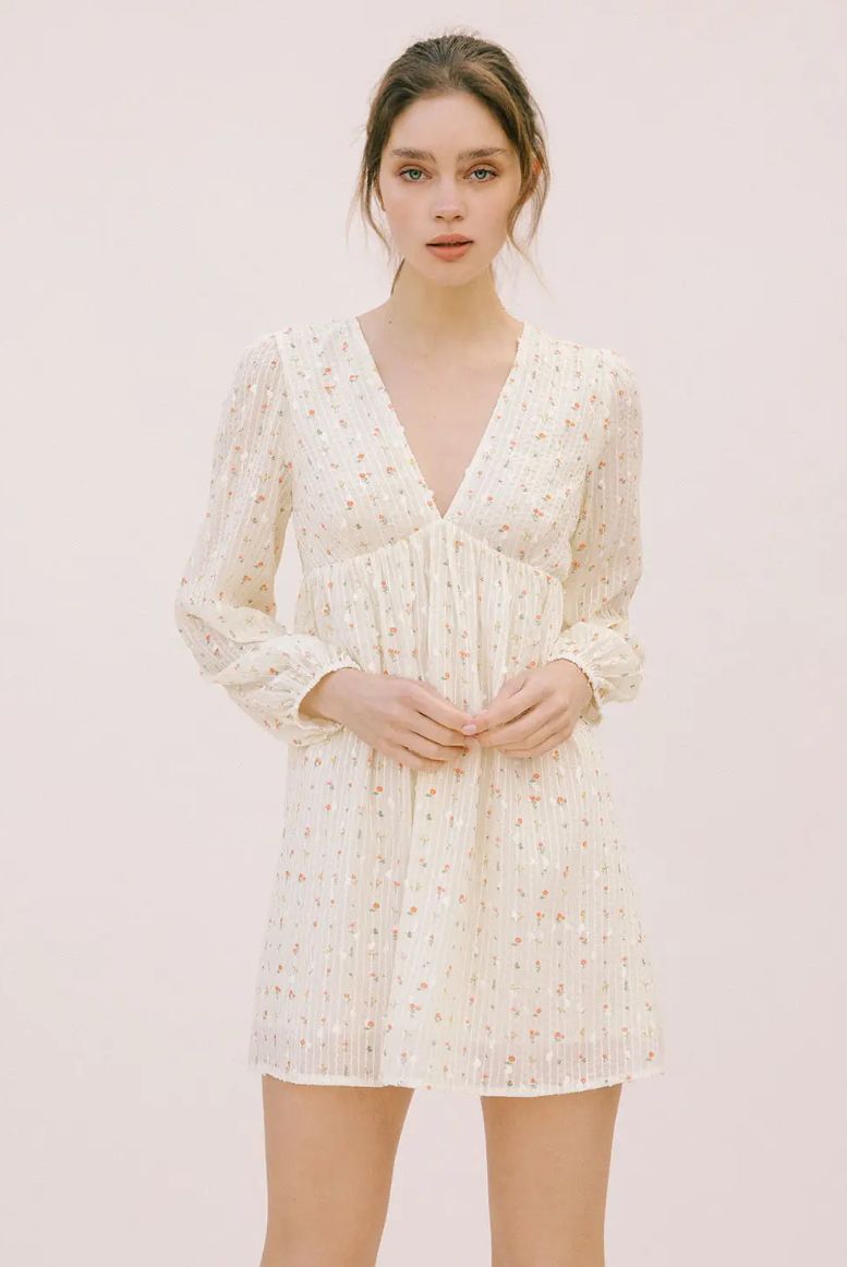Esme Embroidered Mini Dress