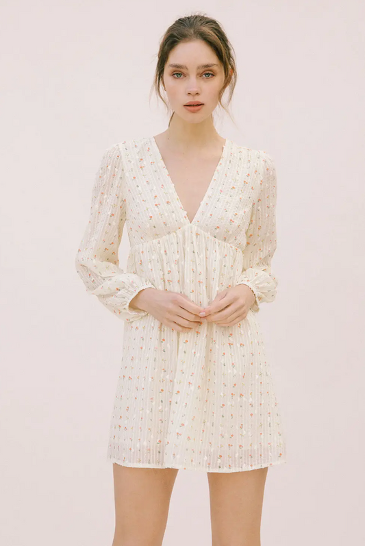 Esme Embroidered Mini Dress
