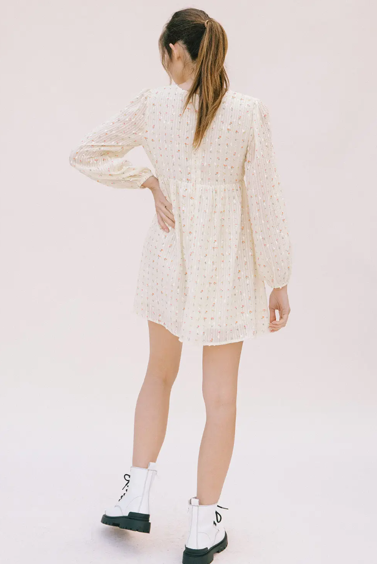 Esme Embroidered Mini Dress
