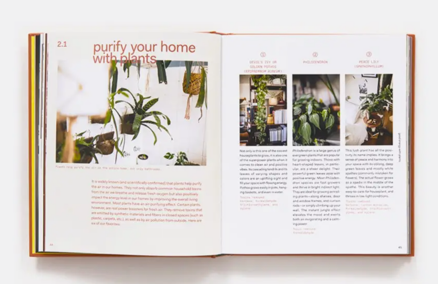 Plant Tribe: Living Happily Ever After with Plants