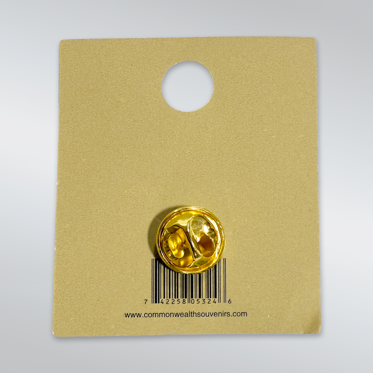 Boston Ducklings Souvenir Pin