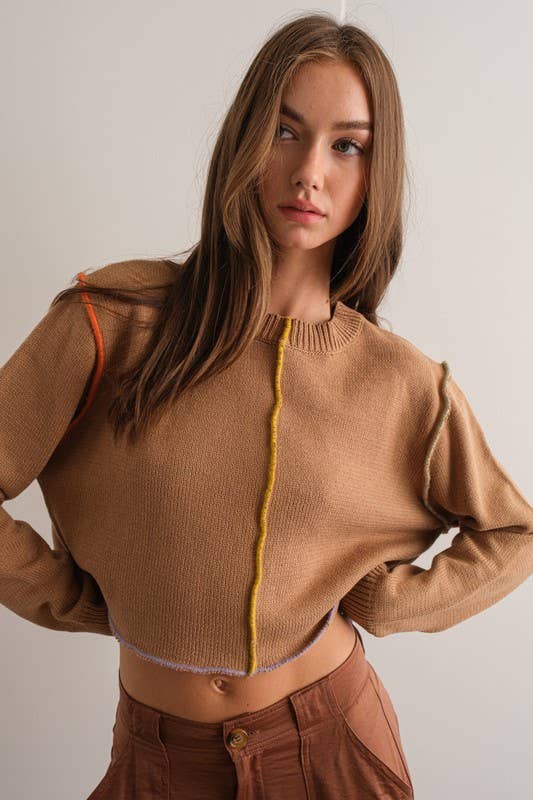 Hazelnut Color Block Sweater