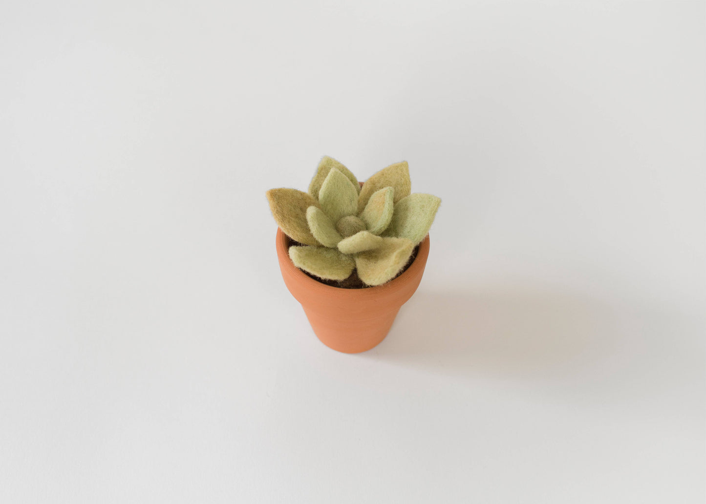 Needle Felting Kit - Succulent