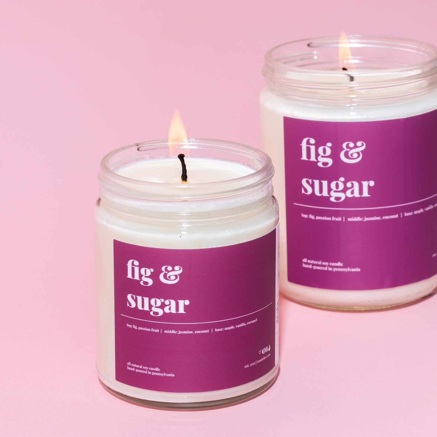 Fig and Sugar Scented Soy Candle - 9oz: 9 oz