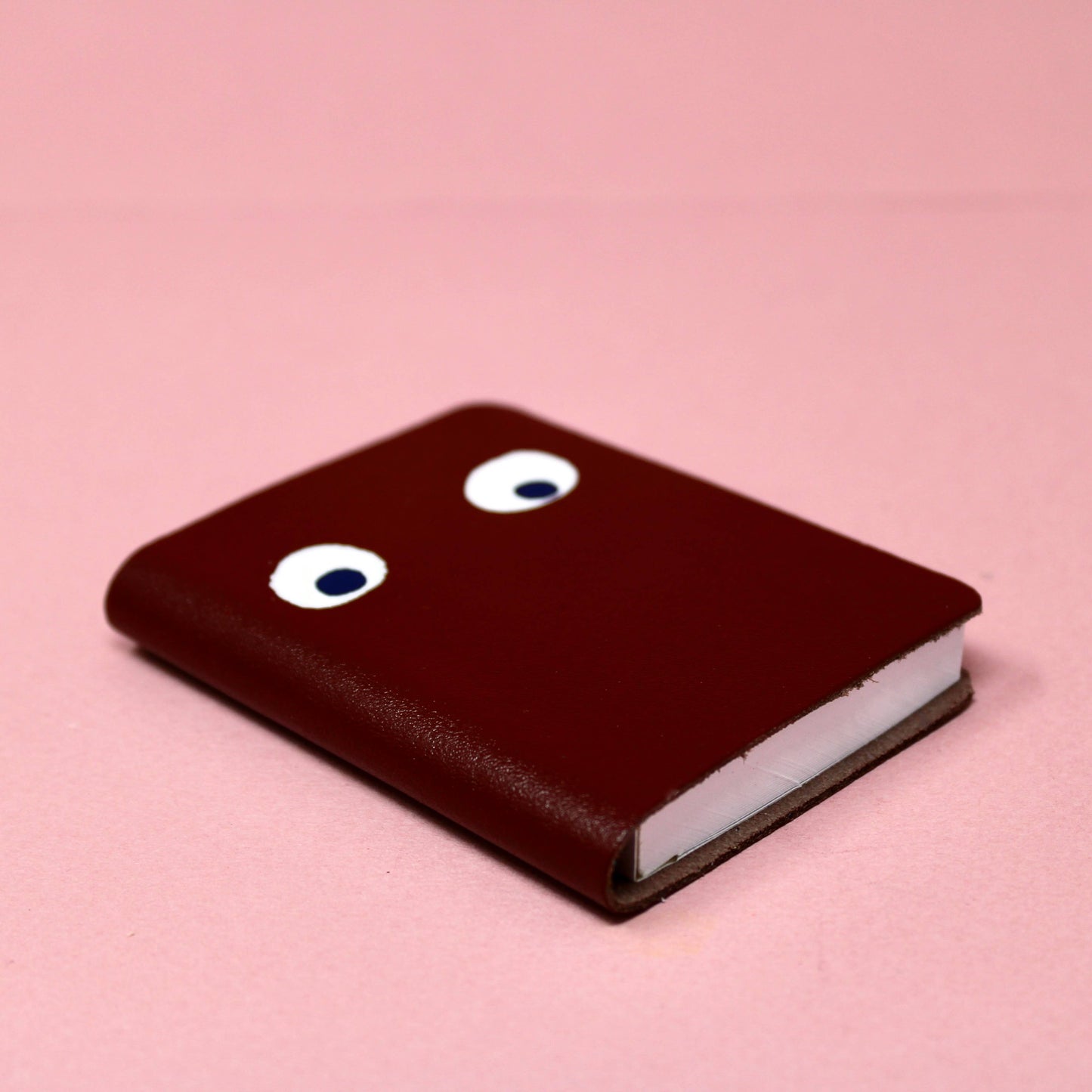 Googly Eye Mini Leather Notebook