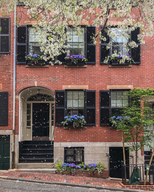 Beacon Hill Print