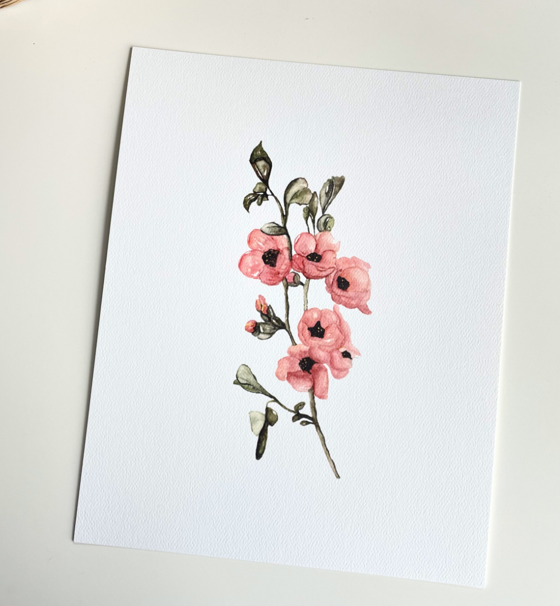 Margareta Csiszar 8x10 Prints