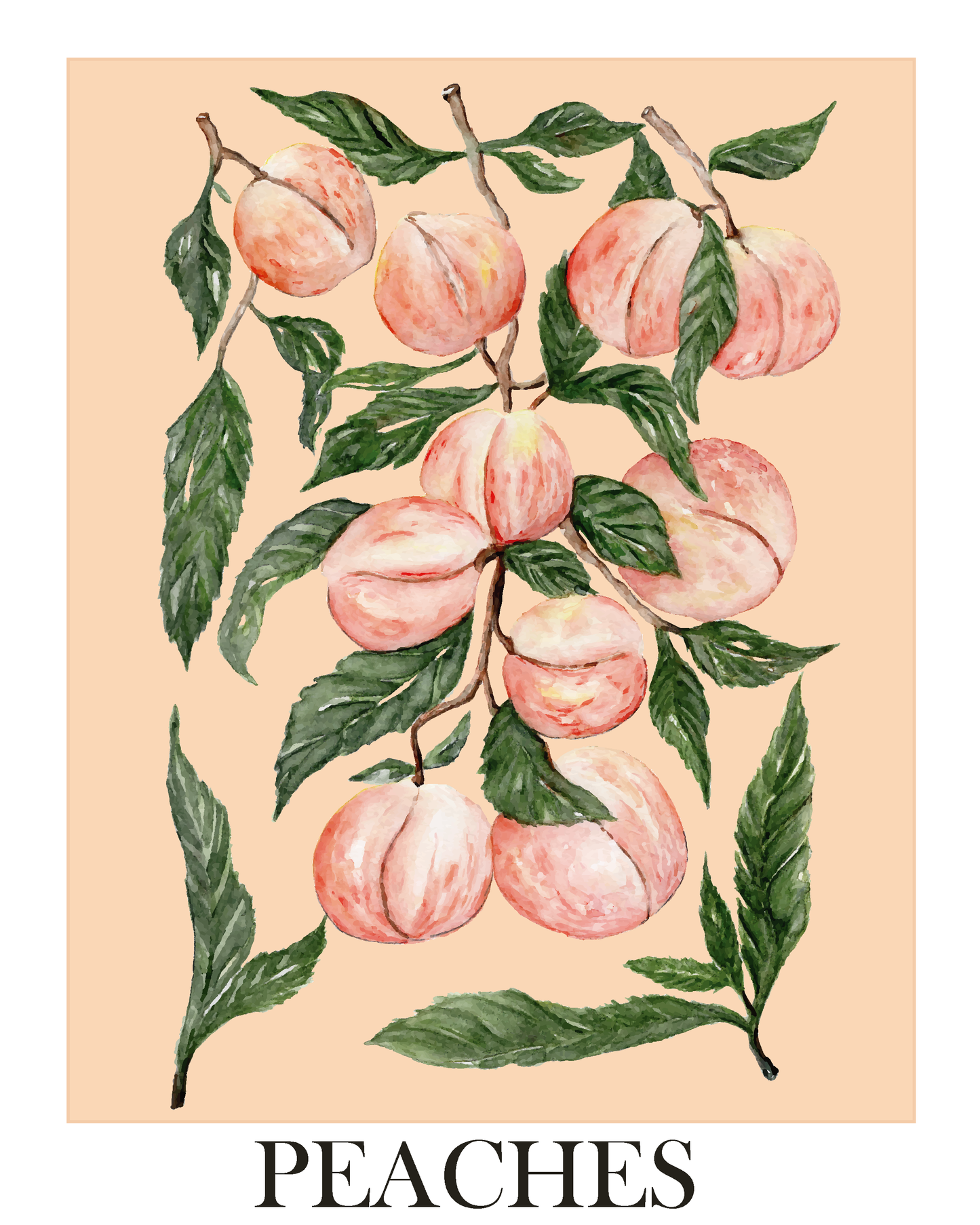 Margareta Csiszar 8x10 Prints