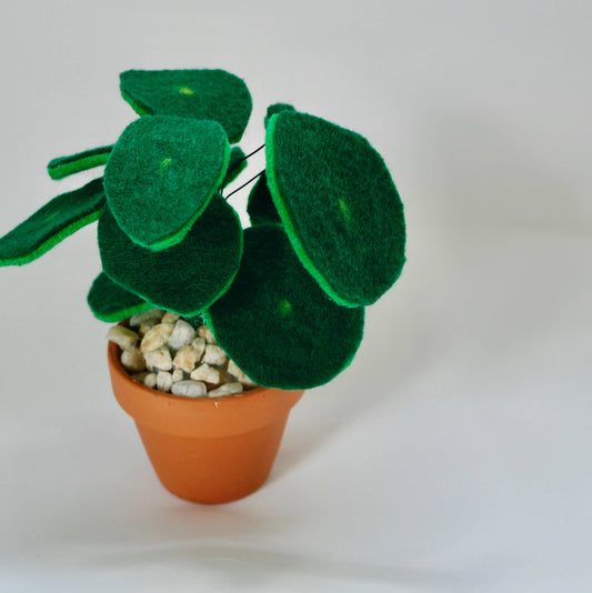 Medium Pilea Felt Plant