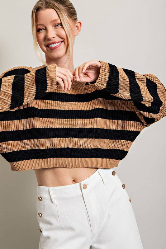 Black + Camel Striped Cropped Sweater