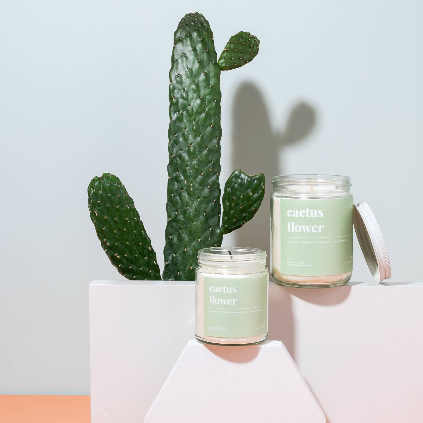 Cactus Flower Scented Soy Candle - 9oz