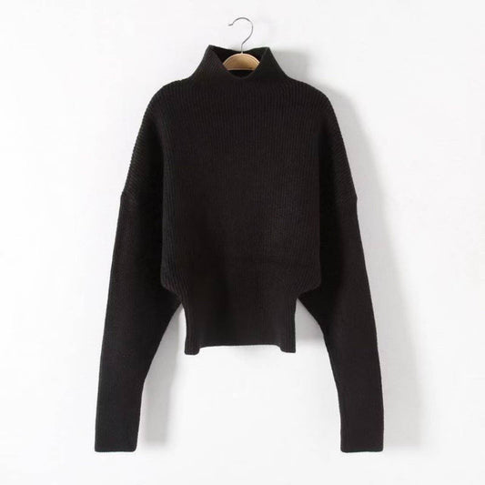 Black Turtle Neck Sweater