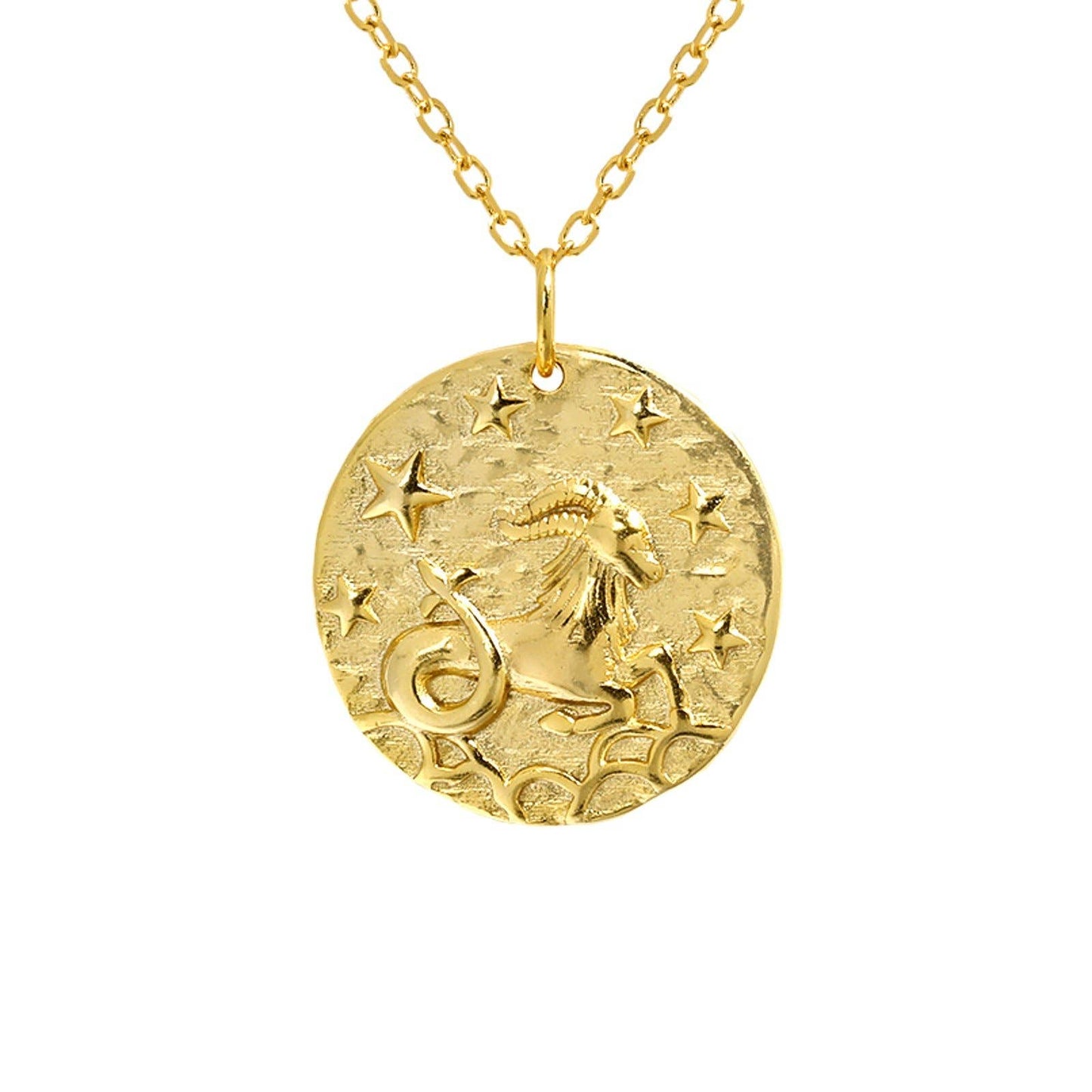 Capricorn Zodiac Necklace