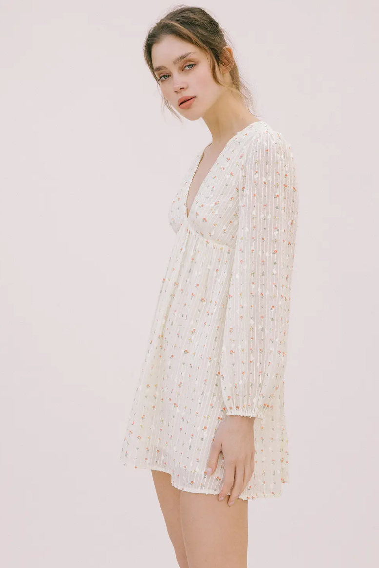 Esme Embroidered Mini Dress