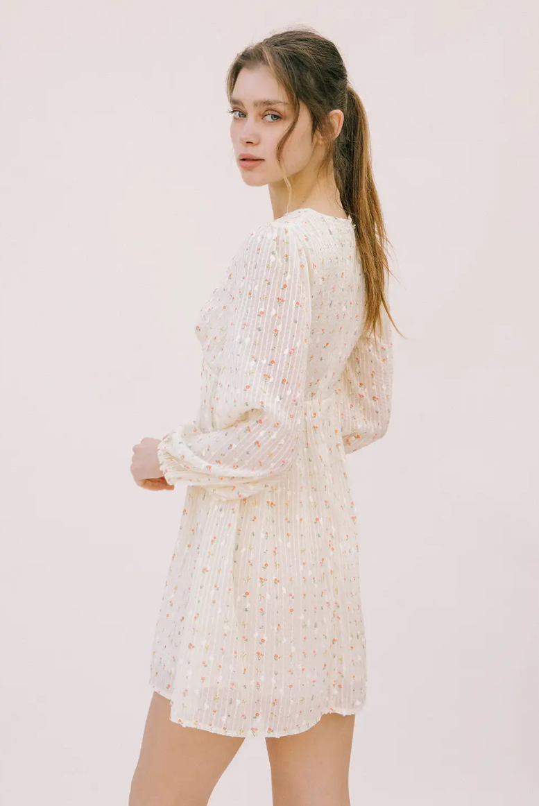 Esme Embroidered Mini Dress