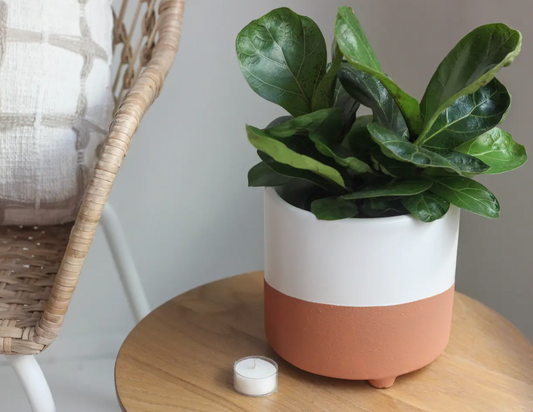 Terracotta and Matte White Minimal Planter
