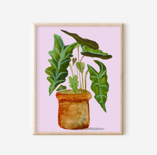 Alocasia 8"x10" Print