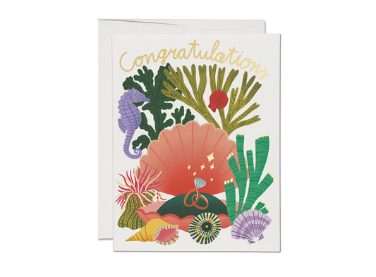 Clam Shell Congrats Greeting card