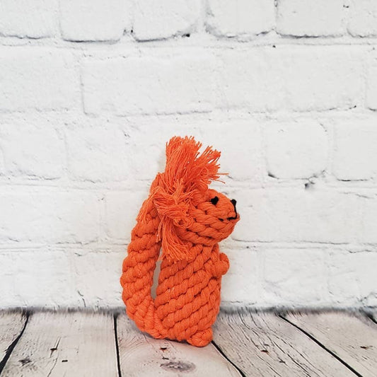 Squirrel Rope Dog Toy