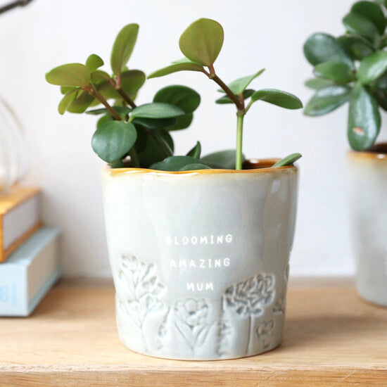glazed ceramic ombre planter 